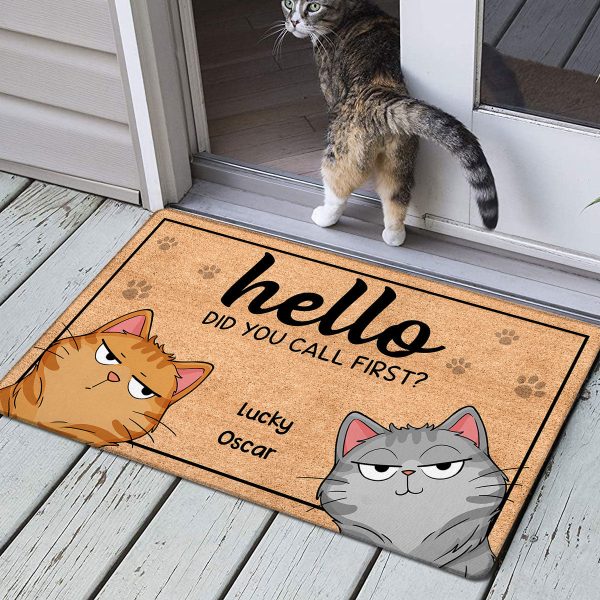 Hello Did You Call First Funny Cat Expression Personalized Doormat Supply - Image 2